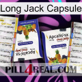 Long Jack Capsule 12